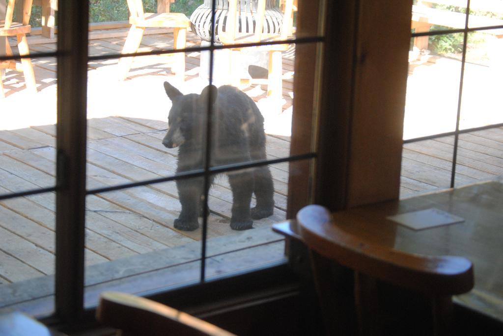Tenmile Medicine Bow Lodge מראה חיצוני תמונה