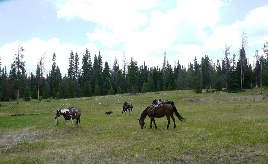 Tenmile Medicine Bow Lodge מראה חיצוני תמונה